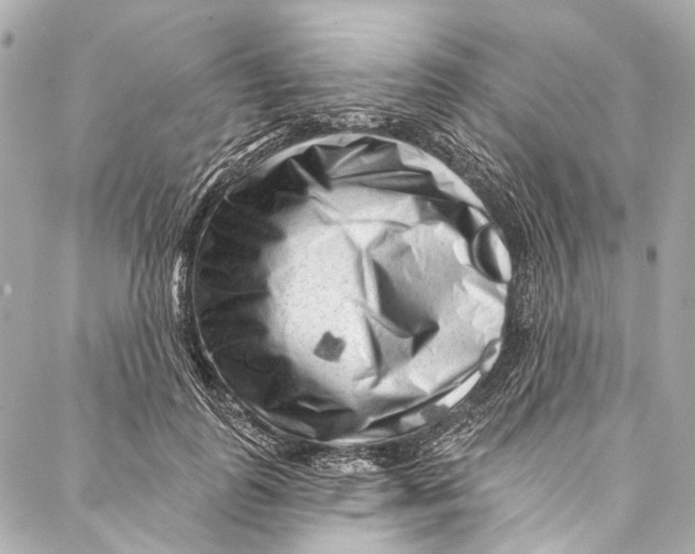 X0000087030747200705071534