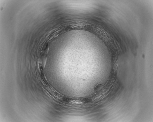 X0000087030749200705071534