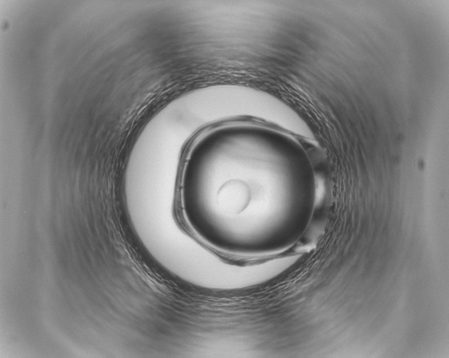 X0000087030750200705071534