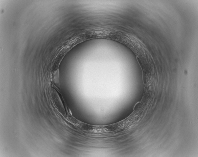 X0000087030752200705071534