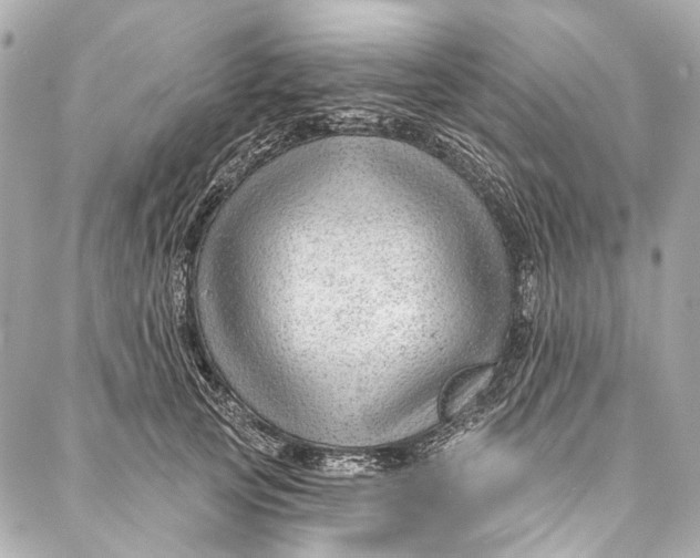 X0000087030753200705071534