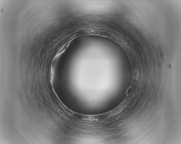 X0000087030754200705071534