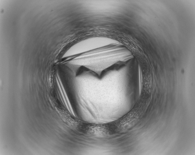 X0000087030755200705071534