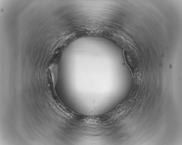 X0000087030756200705071534