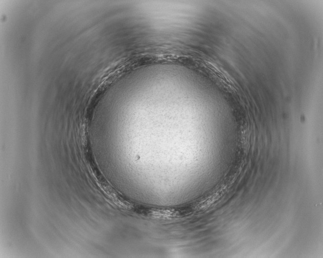 X0000087030757200705071534