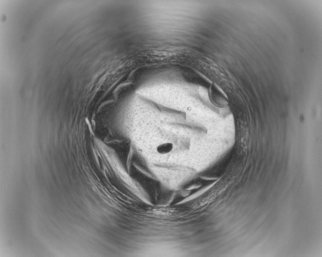 X0000087030758200705071534