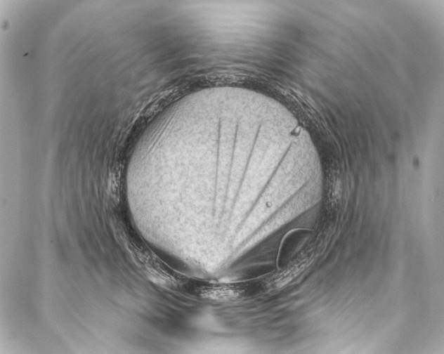 X0000087030759200705071534