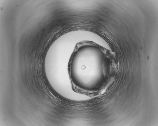 X0000087030760200705071534