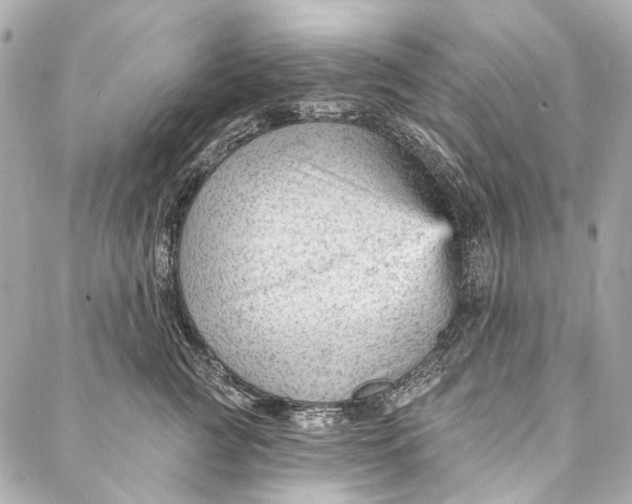 X0000087030761200705071534