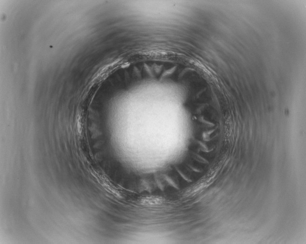 X0000087030762200705071534