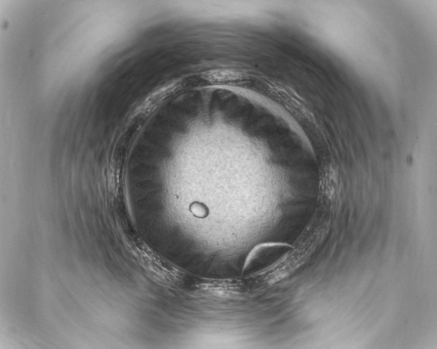 X0000087030763200705071534