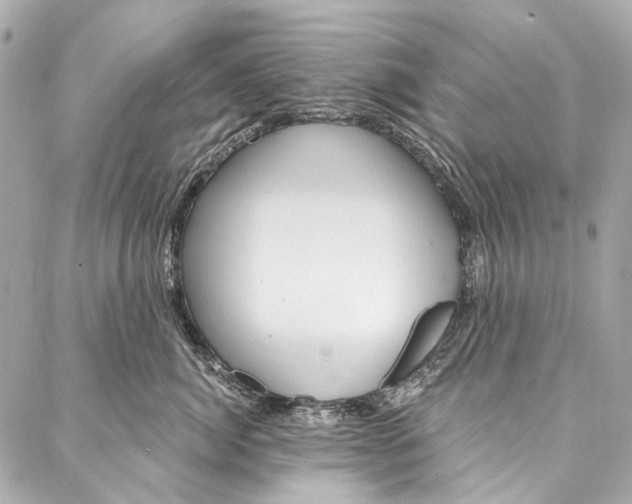 X0000087030764200705071534