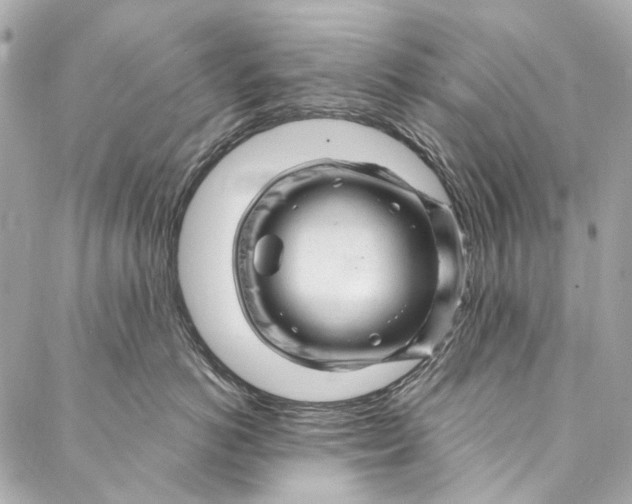 X0000087030766200705071534