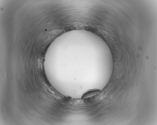 X0000087030768200705071534