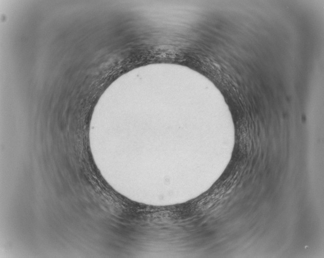 X0000087030769200705071533