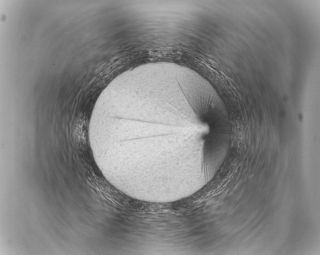 X0000087030770200705071533