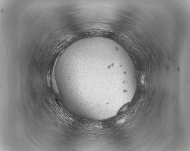 X0000087030771200705071533