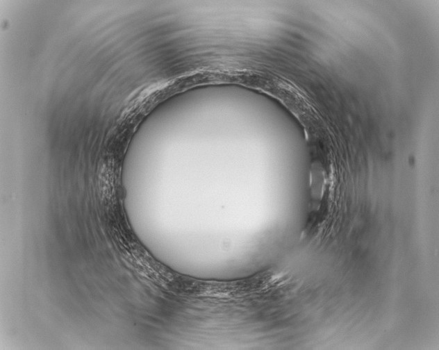 X0000087030773200705071533