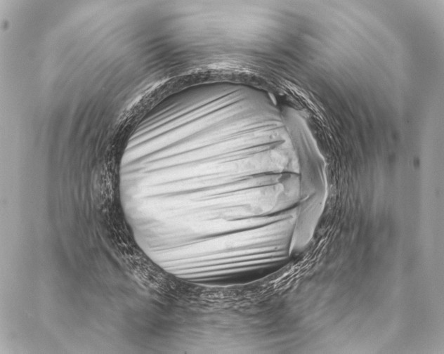 X0000087030776200705071533