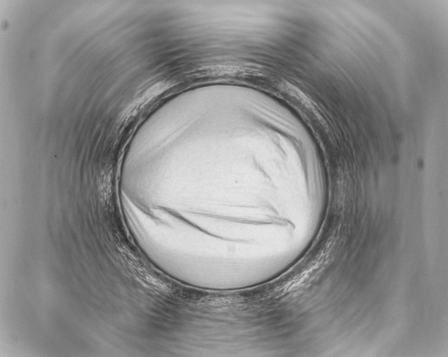 X0000087030778200705071533