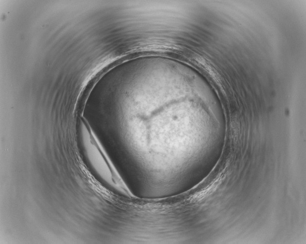 X0000087030779200705071533