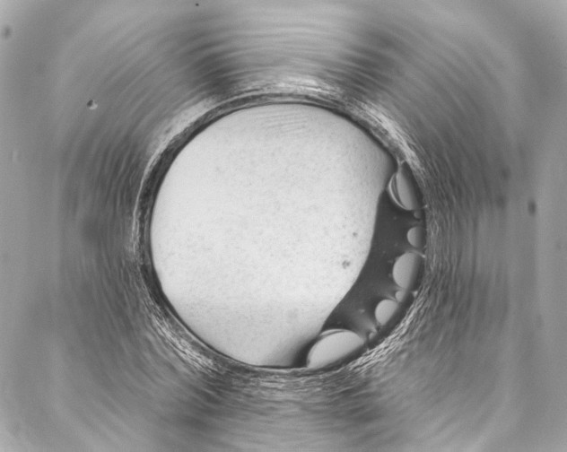 X0000087030780200705071533