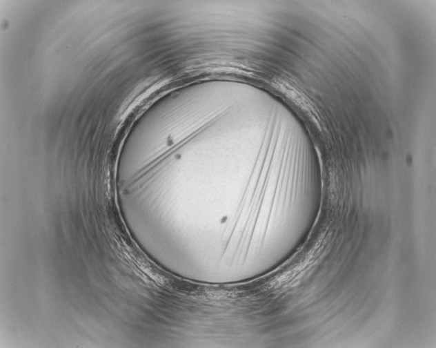 X0000087030782200705071533