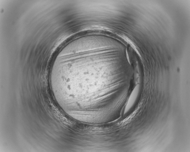 X0000087030783200705071533