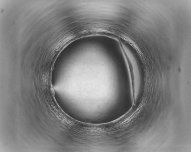 X0000087030785200705071533