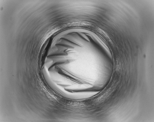 X0000087030786200705071533