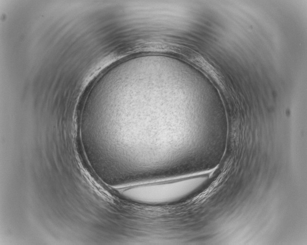 X0000087030787200705071533