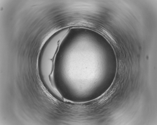 X0000087030788200705071533