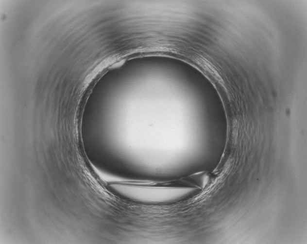 X0000087030789200705071533