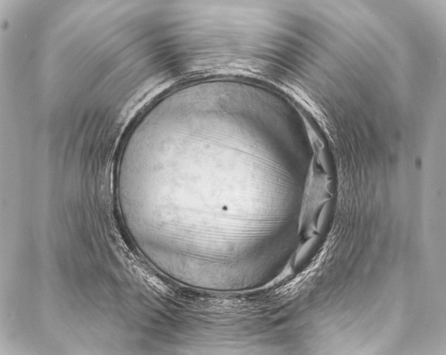 X0000087030790200705071533