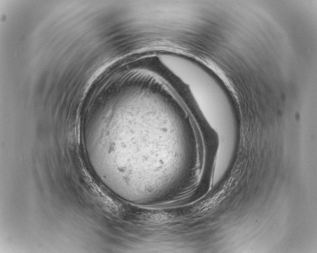 X0000087030791200705071533