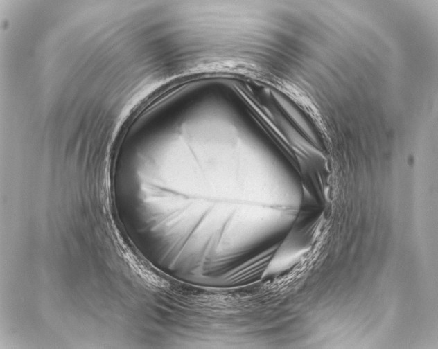 X0000087030792200705071533