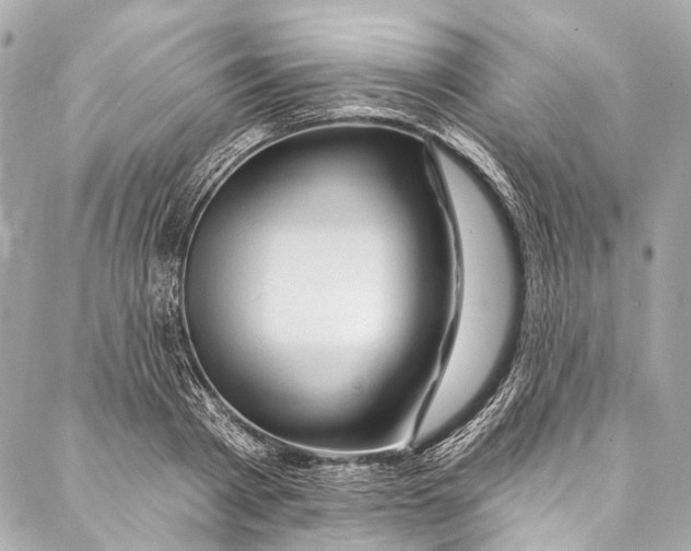 X0000087030793200705071533