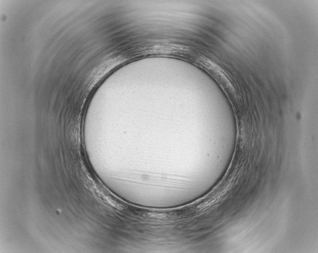 X0000087030794200705071533