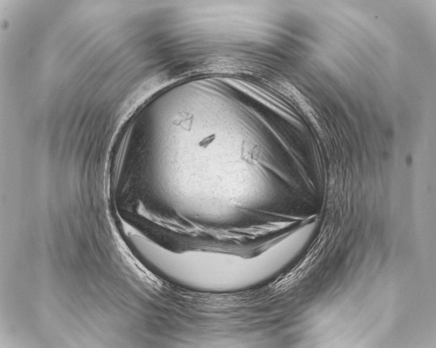 X0000087030795200705071533