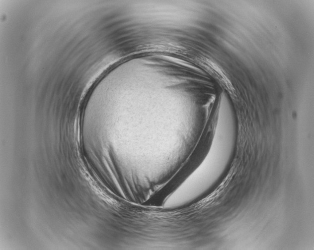 X0000087030796200705071533