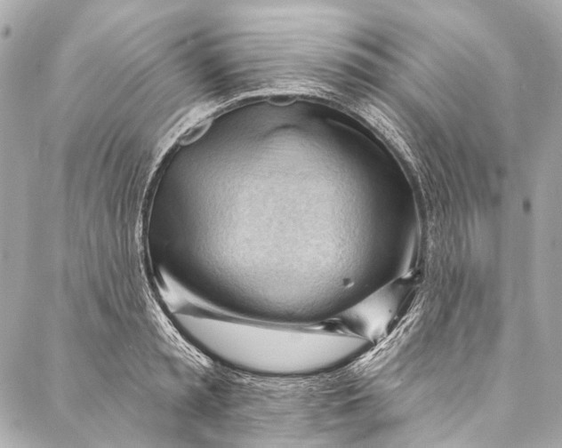 X0000087030797200705071533