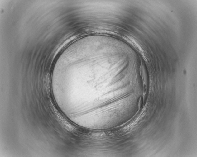 X0000087030798200705071533