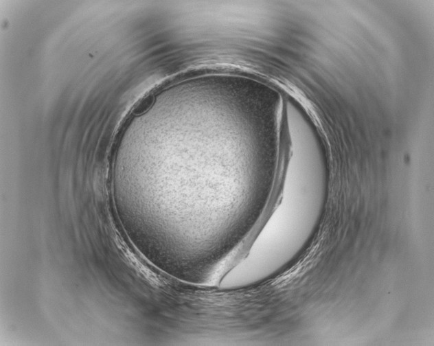 X0000087030799200705071533