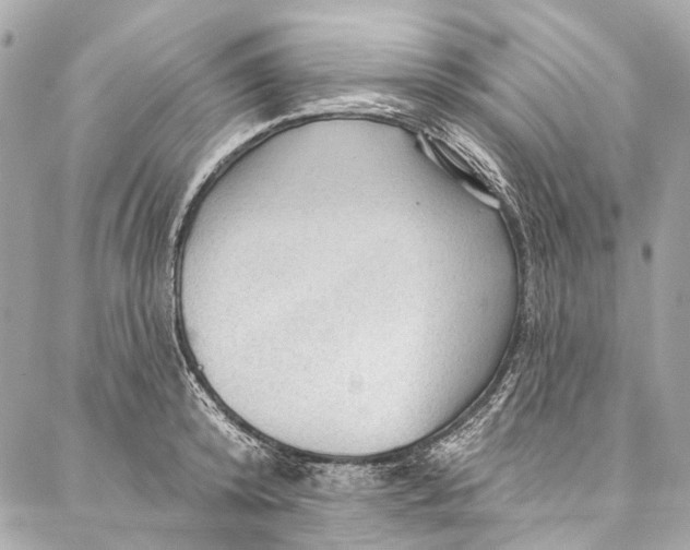 X0000087030800200705071533