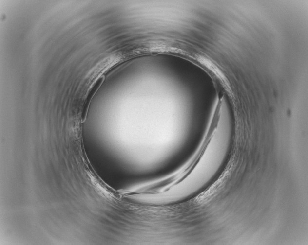 X0000087030801200705071533