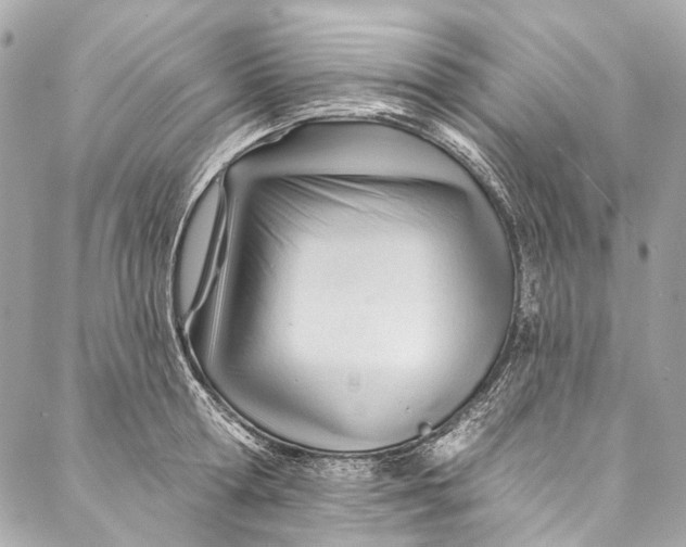 X0000087030802200705071533