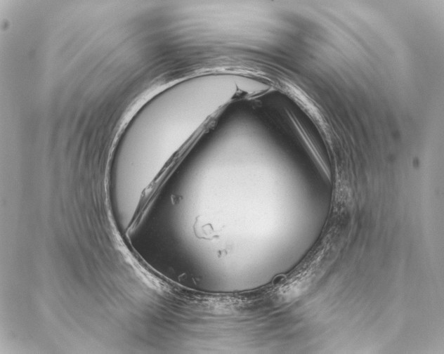 X0000087030803200705071533