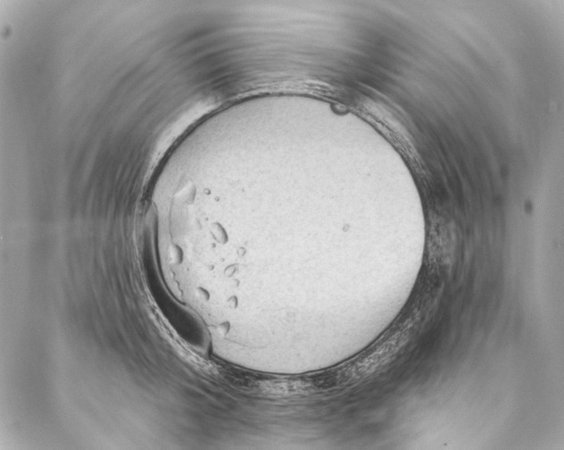 X0000087030804200705071533