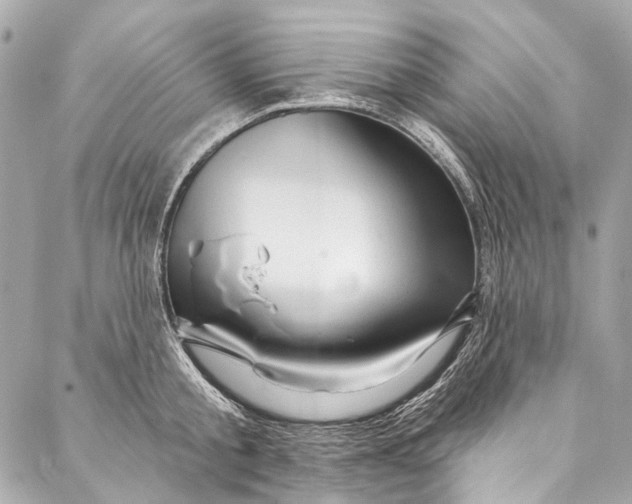 X0000087030805200705071533