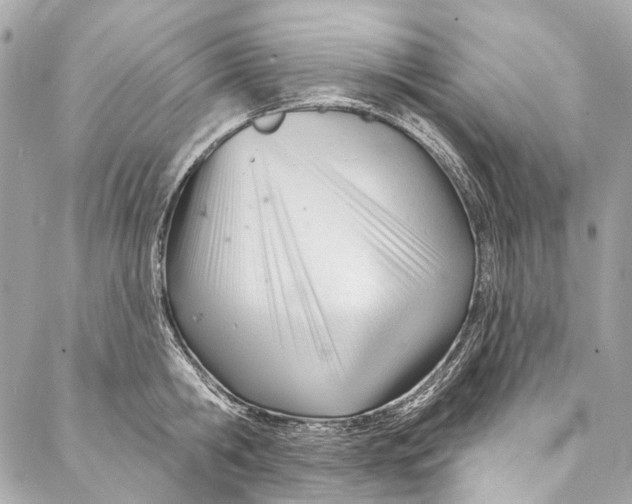 X0000087030806200705071533